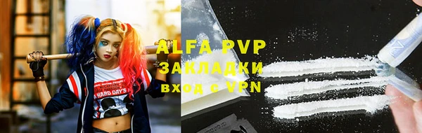 мяу мяу мука Баксан