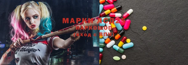 мяу мяу мука Баксан