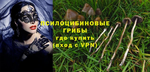 мяу мяу мука Баксан