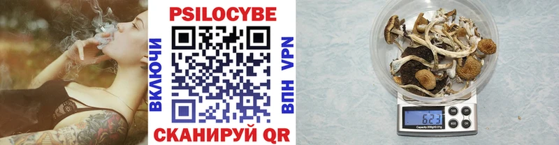 Псилоцибиновые грибы GOLDEN TEACHER  Сусуман 